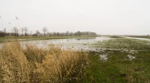Marshy meadow stony path, a simple landscape in the fog, with ducks and a landsc Stock Photos