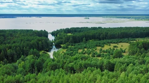 A marshy riverbed flowing into a large lake. The water in the creek is covered Stock Footage 257771947
