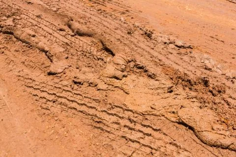 Marshy road Stock Photos