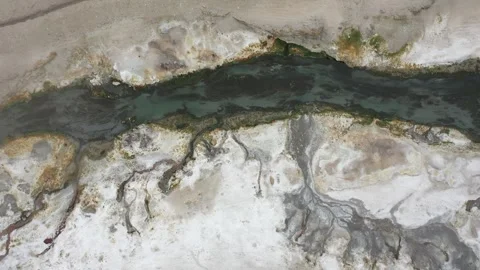 Marshy water stream in Himalayas Stock Footage 250067940