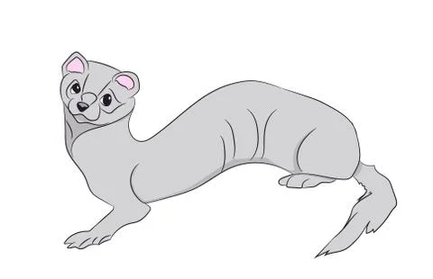 Marten, color, vector 스톡 일러스트