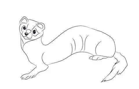 Marten line, vector Stock Illustration
