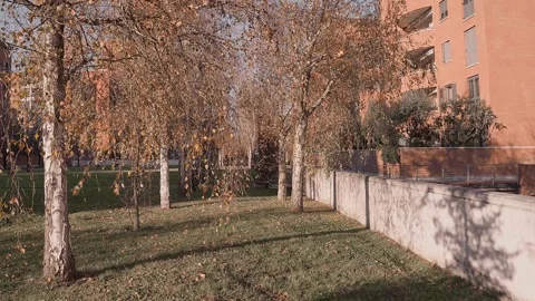 MARTERSANA UNO Stock Footage 321651549