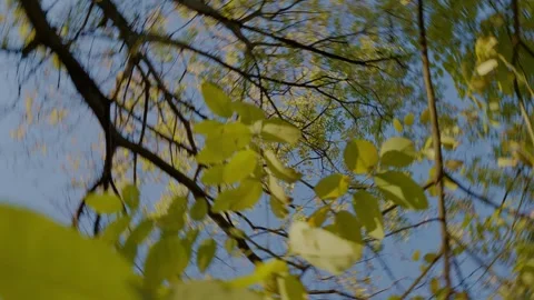 MARTESANA CINQUE Stock Footage 322520258