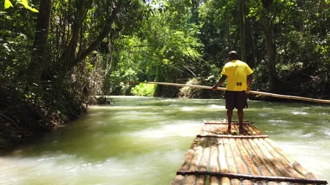 Martha Brae River Rafting Excursion – Falmouth, Jamaica - May 2025 Stock Footage 314290198