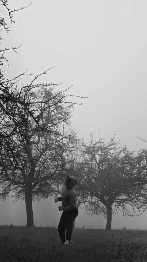 Martial art expert is actively engaged in a series of dynamic movements within a Stock Footage 315284643