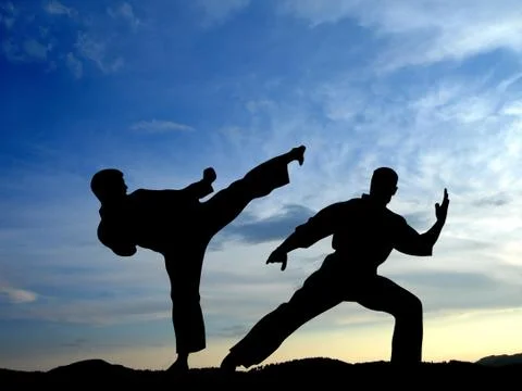 Martial art Stock Illustration