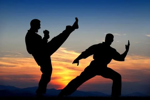 Martial art Stock Illustration