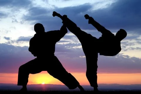 Martial art Stock Illustration