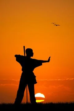 Martial art at sunset Stock Illustration