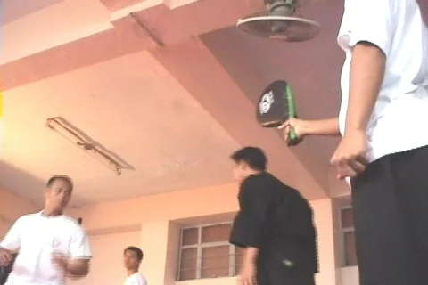 Martial Arts Stock Footage 278068