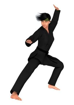 Martial arts Stock Illustration