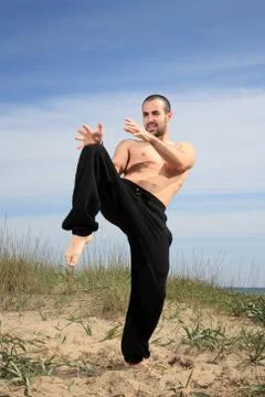 Martial arts instructor Stock Photos