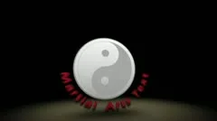 Martial Arts Sequence Stock After Effects