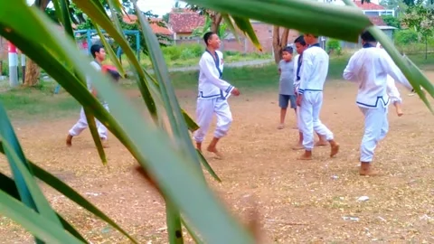 Martials 2 Stock Footage 260523989