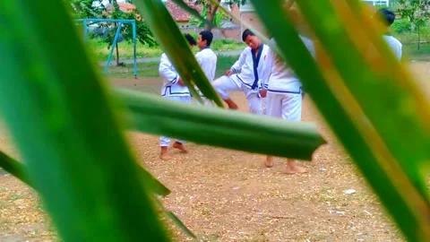 Martials Stock Footage 260524262