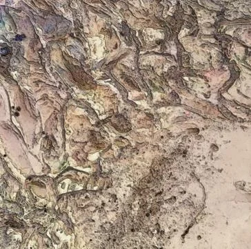 Martian Riverbed Background Stock Photos