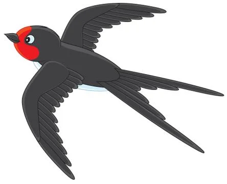 Martin Illustrazione stock