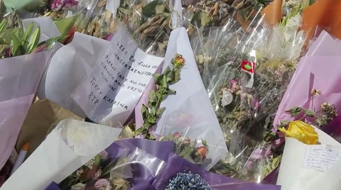 Martin Place flowers 스톡 동영상 45297152