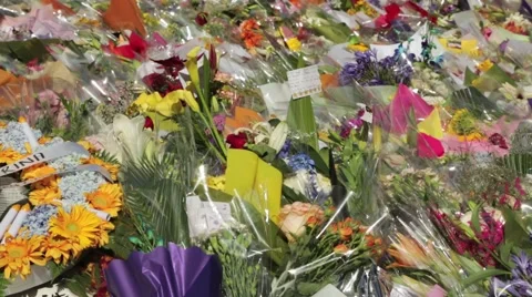 Martin Place Flowers Vídeo Stock 45442018