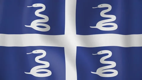Martinique animated flag. Seamless loop. 4K Stock Footage 145477517