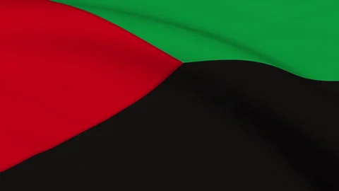 Martinique Flag Loop Background Stock Footage 251666096