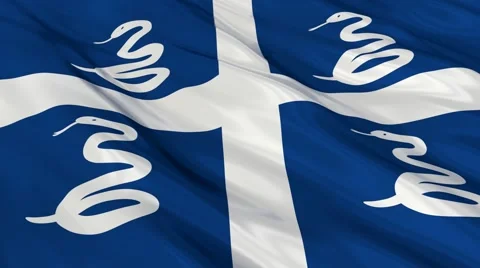 Martinique flag Seamless Stock Footage 49087587