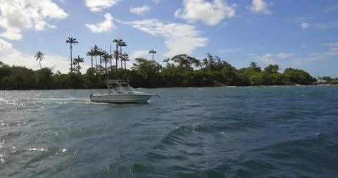 Martinique12 動画素材 94924093