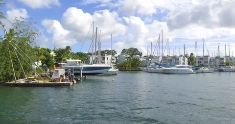 Martinique13 動画素材 94924274