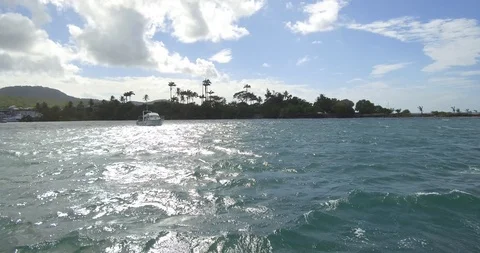 Martinique9 動画素材 94924728