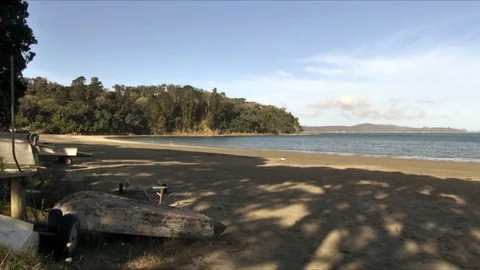 Martins Bay beach scene Видео 106547194