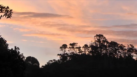 Martins Bay Sunset Видео 106547191