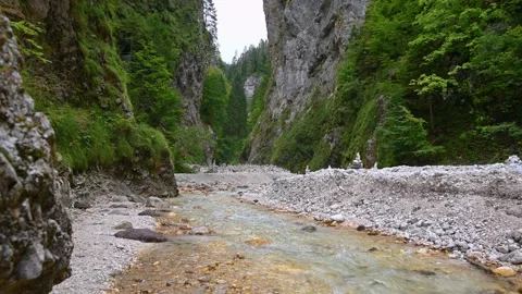 Martuljek river flowing in idyllic pristine alpine gorge in Slovenia Stock Footage 164610052
