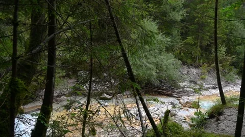Martuljek river flowing in idyllic pristine alpine gorge in Slovenia Stock Footage 164613552