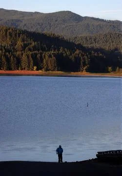 Marty at Dorena Stock Photos