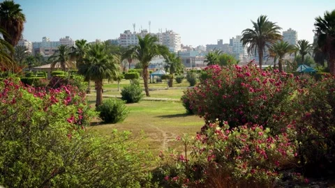 Martyrs Park Landscape in Suez Stock-Footage 322993520