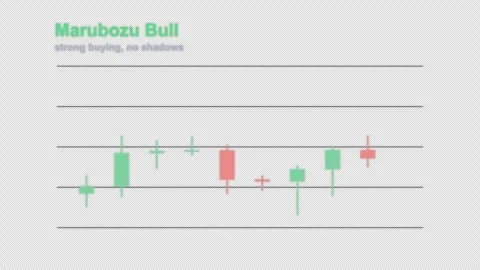Marubozu Bull Labeled Candlestick Pattern Chart Alpha 4K 動画素材 339399188