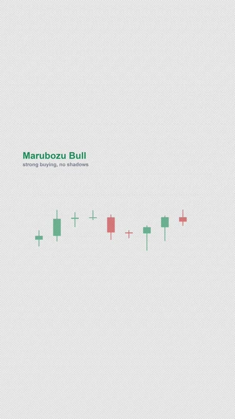 Marubozu Bull Labeled Candlestick Pattern Chart Alpha 4K Vertical 9x16 Light Stock Footage 339507471