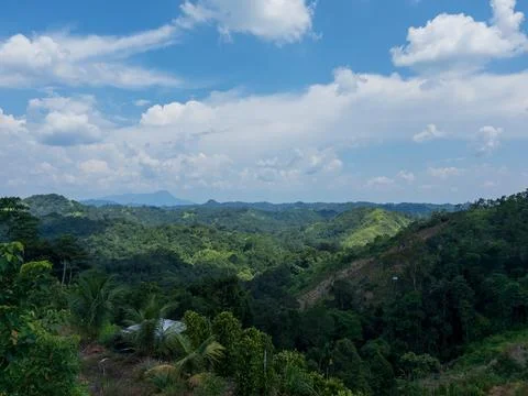 Marudi site Stock Photos