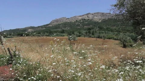 Marvao on mountain with meadow Stock Footage 8600607