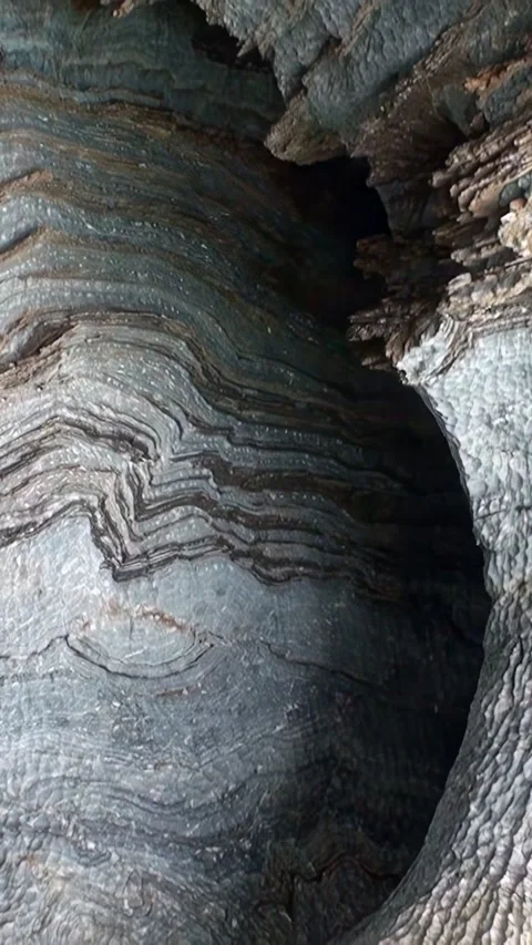 Marvel at the stunning marble formations of Los Alerces National Park, Argentina Stock Footage 299419559