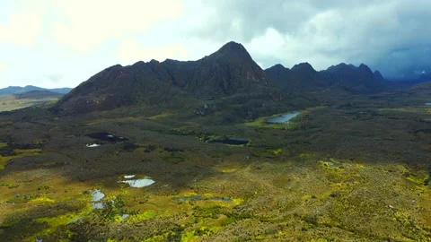 Marvel at the unique flora that blankets the páramo, from vibrant mosses Vídeo Stock 266372775