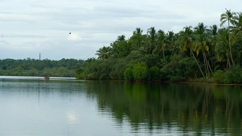 Marvelous landscape of a river and its surroundings in Kerala, India 動画素材 120836157