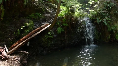 Marvelous waterfall and small lake in jungle Stock Footage 51524645