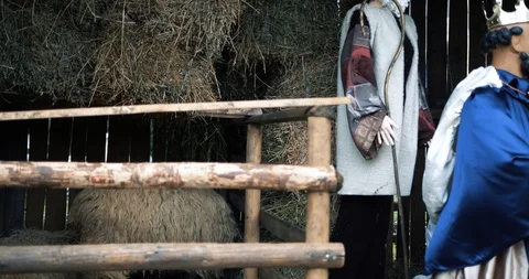 Mary and Joseph 動画素材 94797350