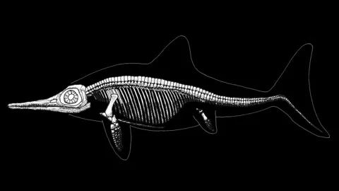 Mary Anning (silent) Vídeo Stock 256092928