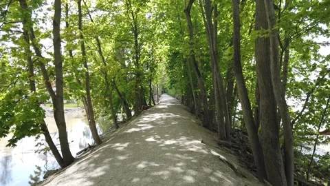Mary Jane Thurston State Park canal trail Maumee River 스톡 동영상 155444548