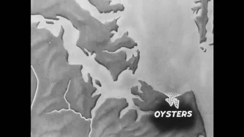 MARYLAND - 1930 - A soft-shell crab fisherman in Maryland hauls his net aboard. 스톡 동영상 264643411