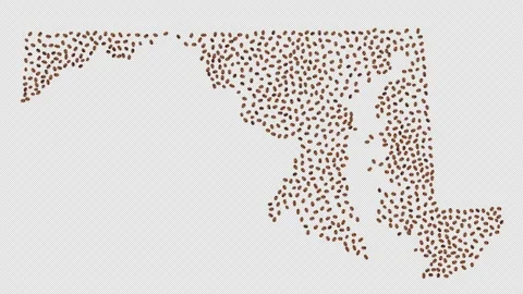 Maryland Coffee Beans Stock Footage 147698731