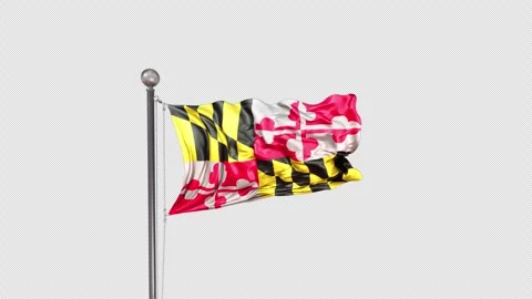 Maryland Flag  Animation Loop Include Alpha 3D Rendering Stock-Footage 312079234
